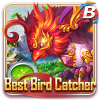 Best Bird Catcher
