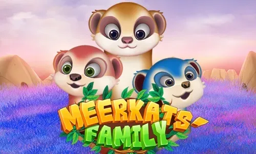 Meerkats Family