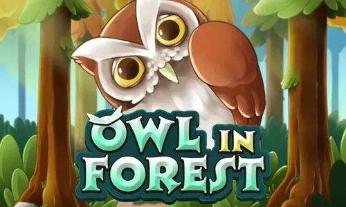 Owl In Forest