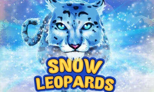 Snow Leopards