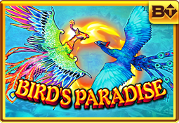 Bird's Paradise