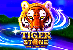 Tiger Stone