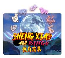 Sheng Xiao Bingo