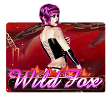 Wild Fox