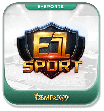 E1 Sport sportsbook